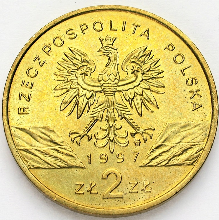 Zdjęcie 2