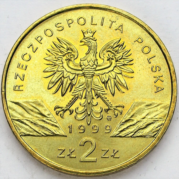 Zdjęcie 2