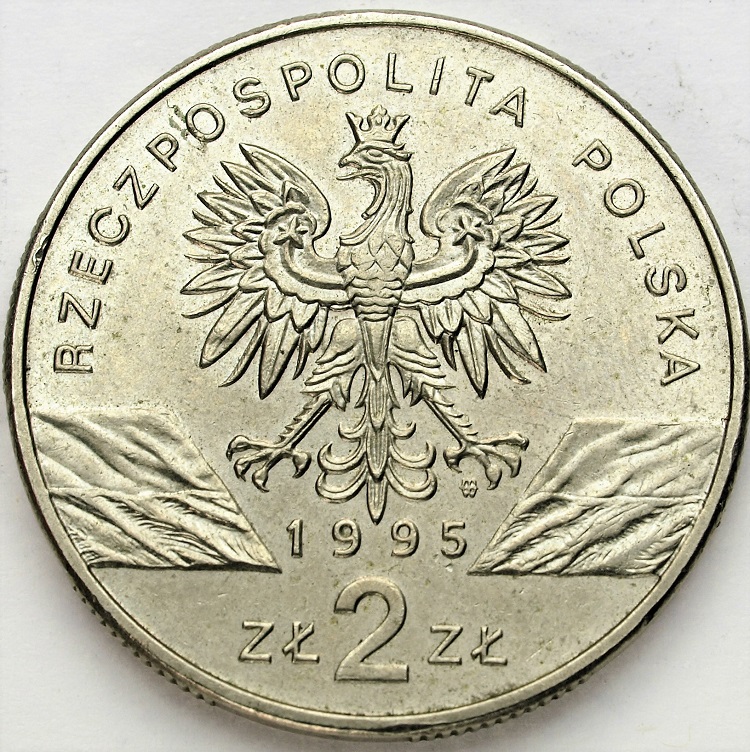 Zdjęcie 2