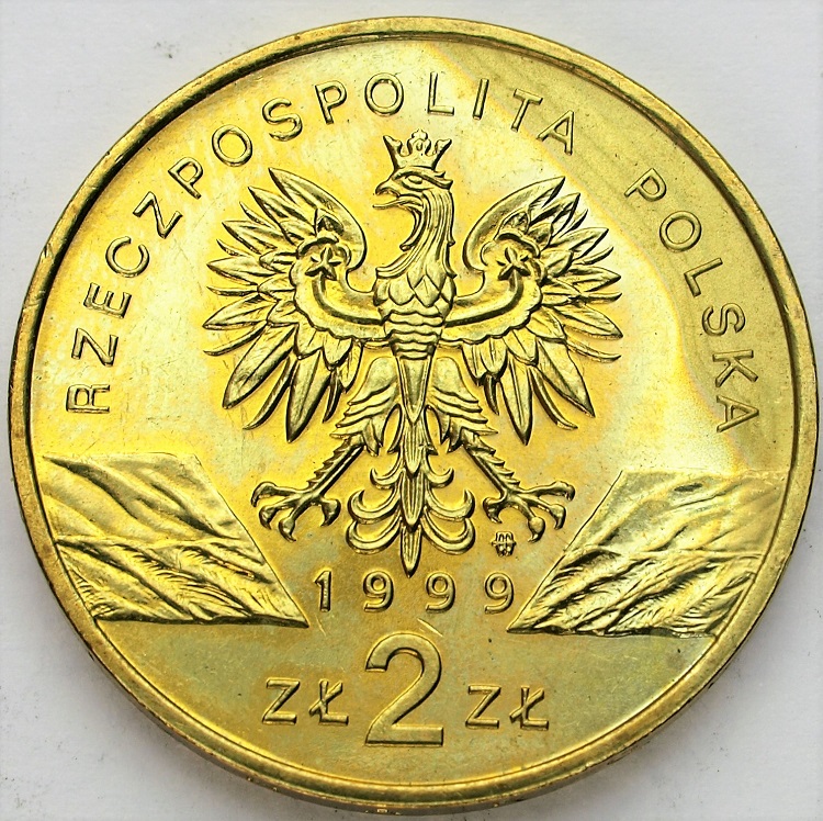 Zdjęcie 2