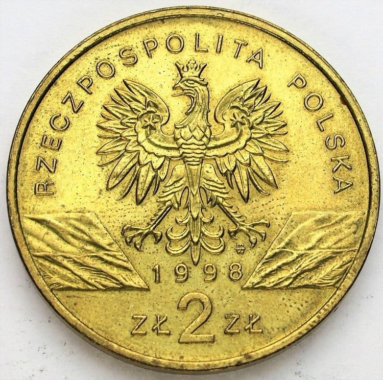 Zdjęcie 2
