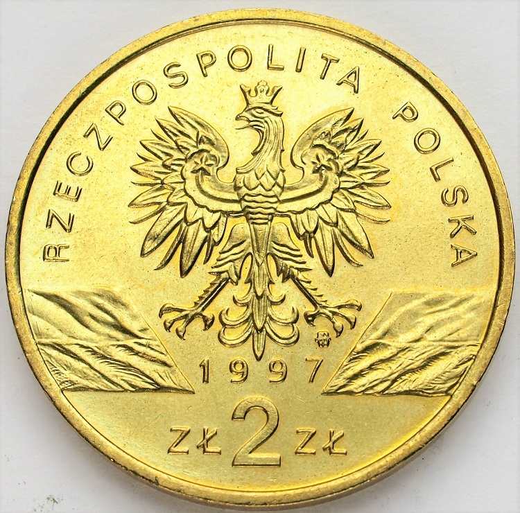Zdjęcie 2