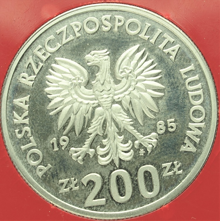 Zdjęcie 3