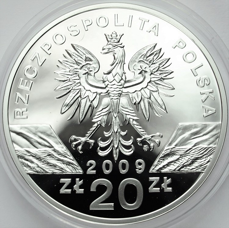 Zdjęcie 2