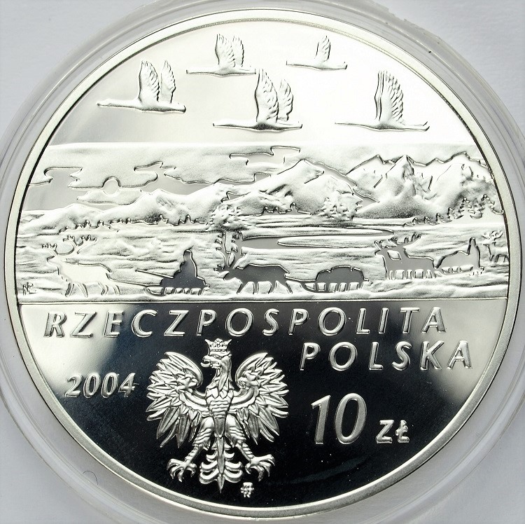Zdjęcie 2