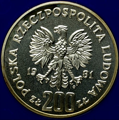 Zdjęcie 3