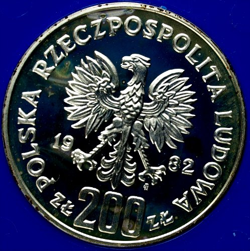 Zdjęcie 3