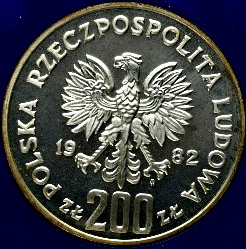Zdjęcie 3