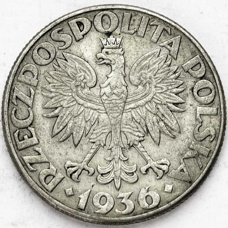 Zdjęcie 2