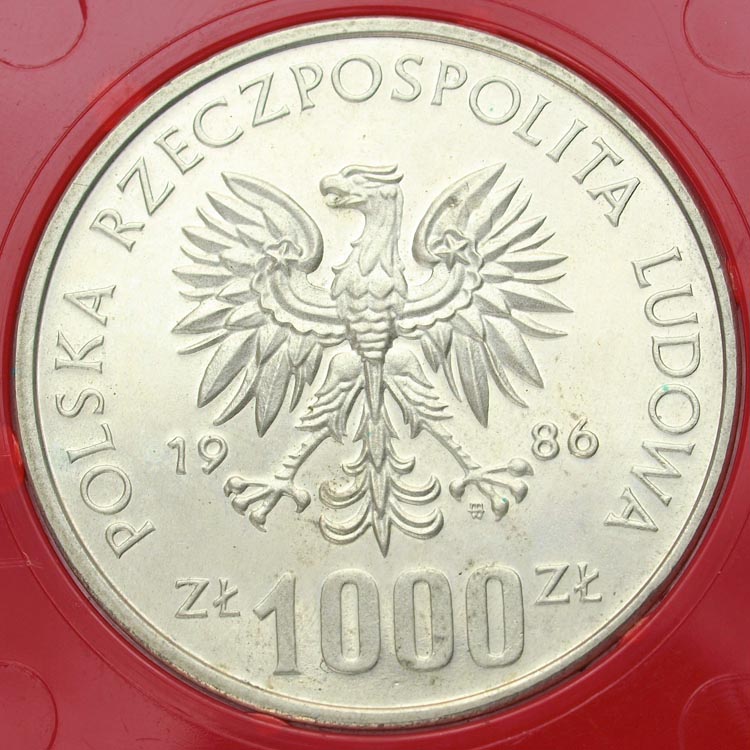Zdjęcie 2
