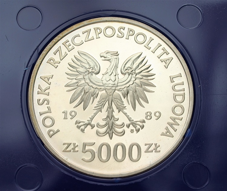 Zdjęcie 2