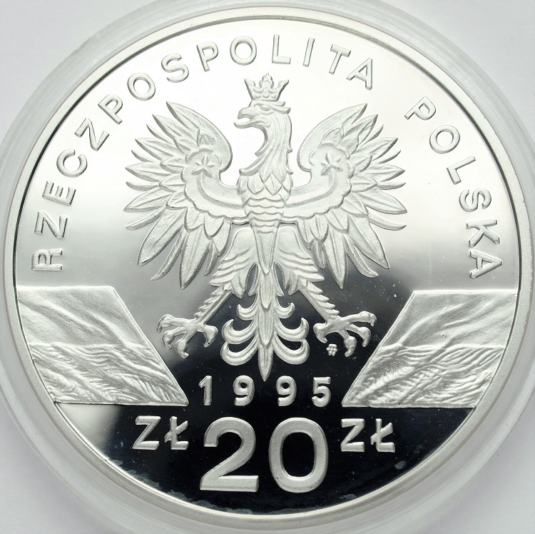 Zdjęcie 2