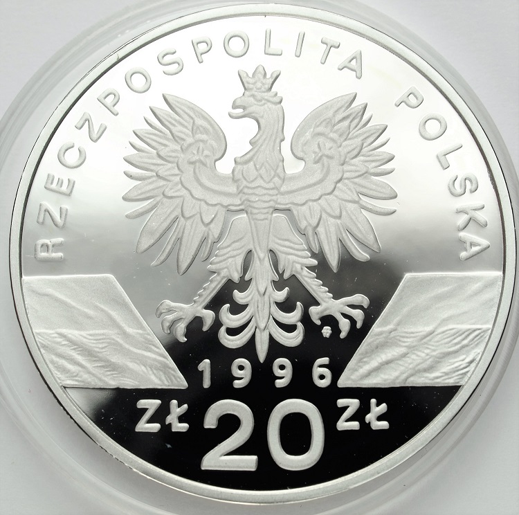 Zdjęcie 2