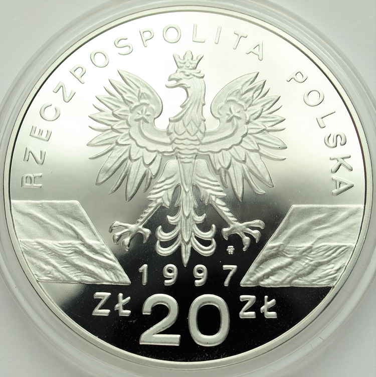 Zdjęcie 2
