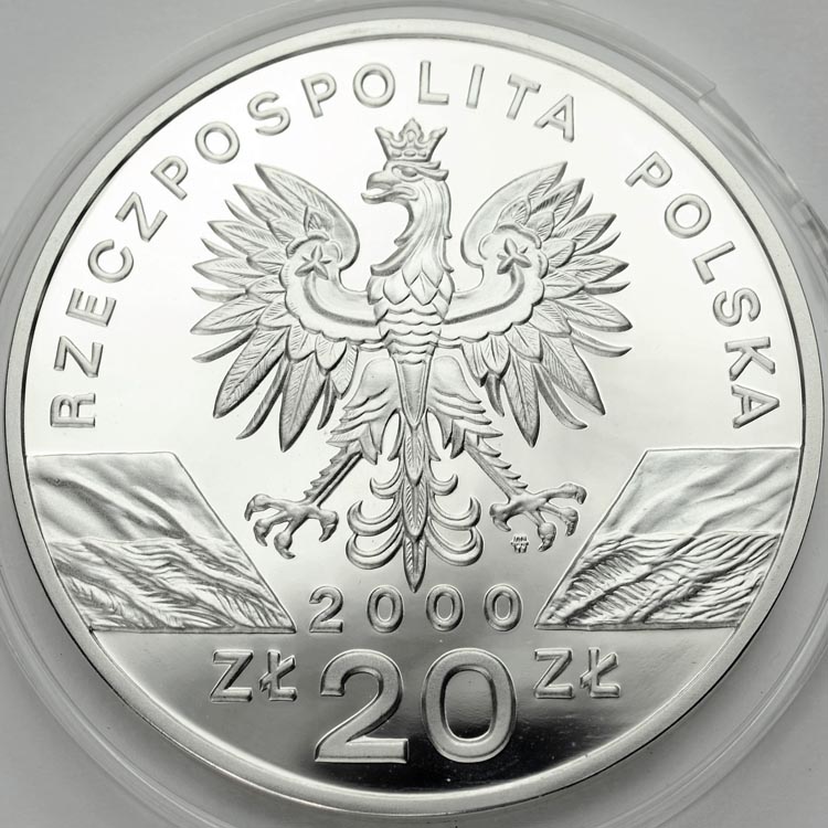 Zdjęcie 2