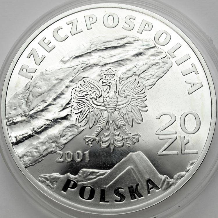 Zdjęcie 2
