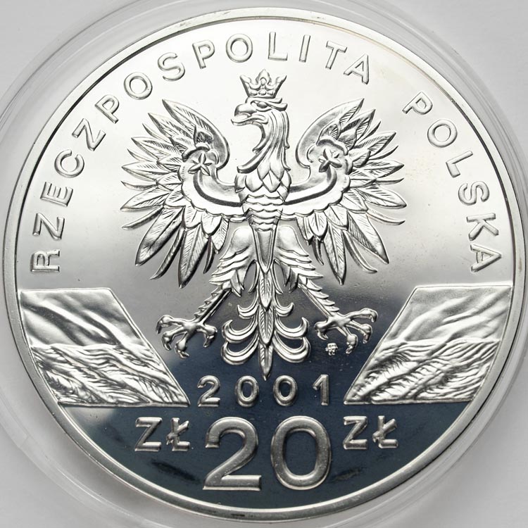 Zdjęcie 2