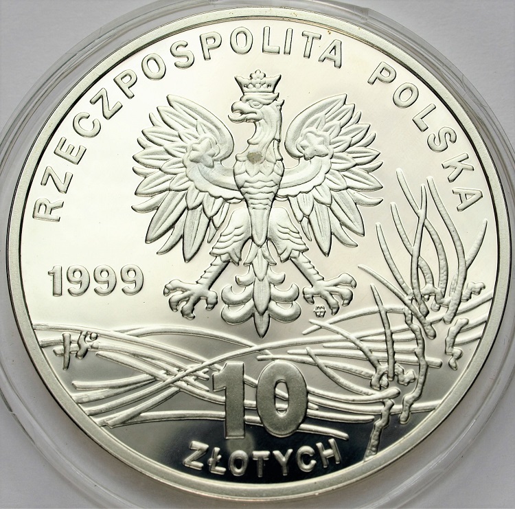 Zdjęcie 2
