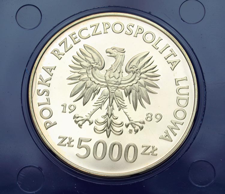 Zdjęcie 2