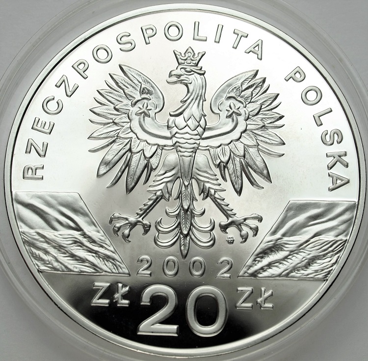 Zdjęcie 2