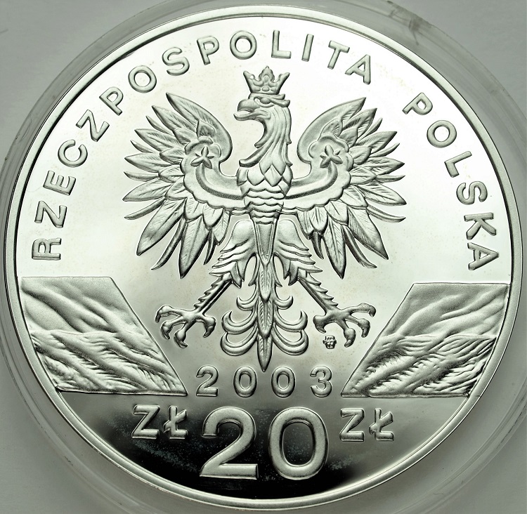 Zdjęcie 2