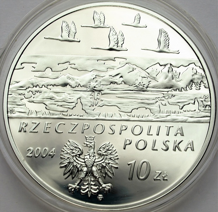 Zdjęcie 2