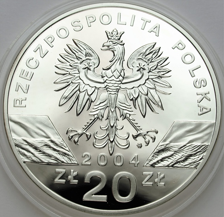 Zdjęcie 2