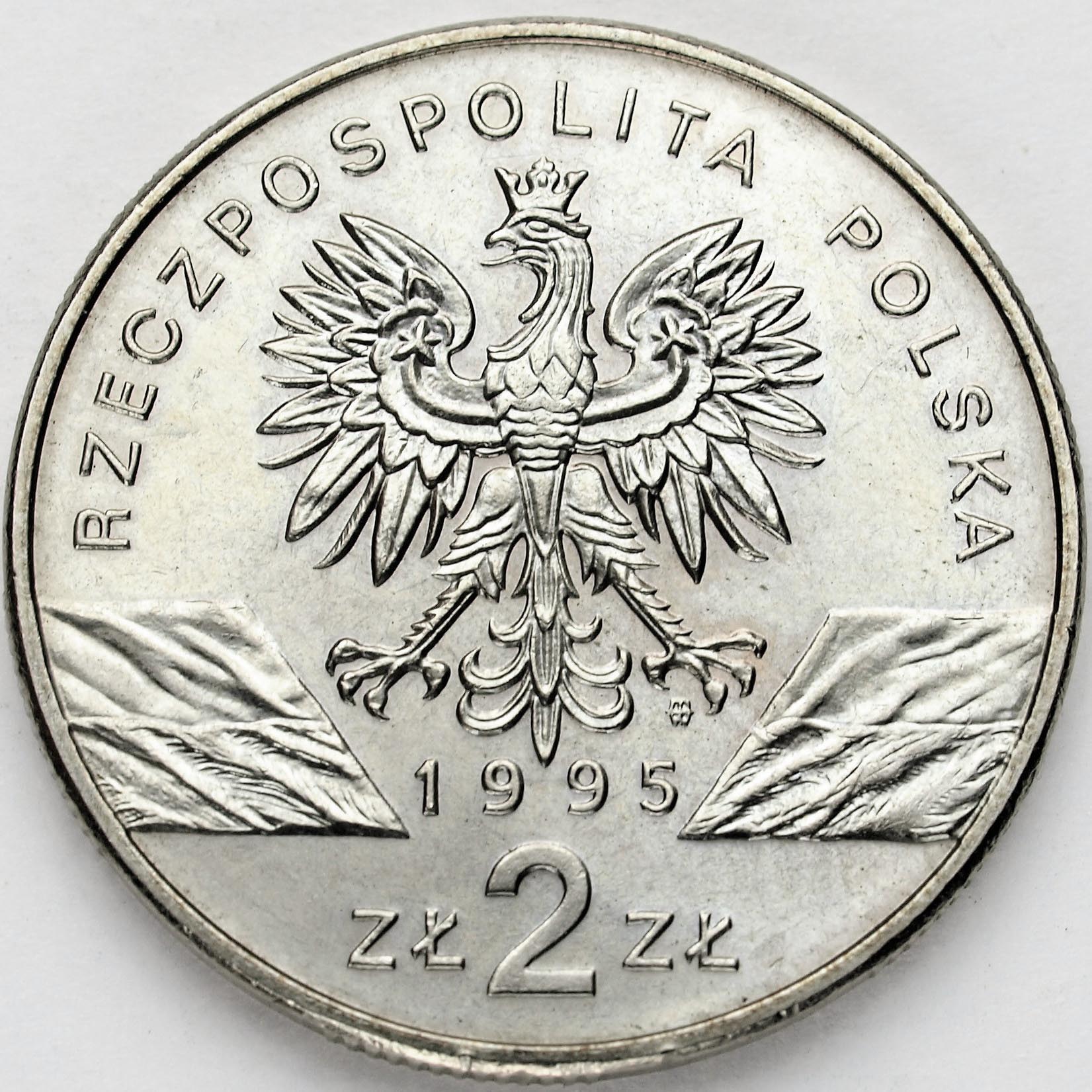Zdjęcie 2
