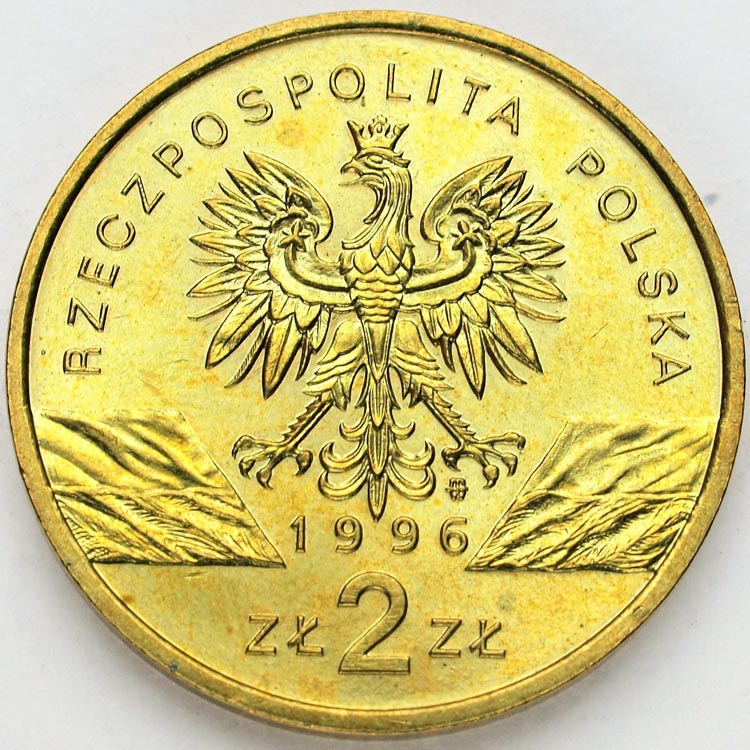 Zdjęcie 2