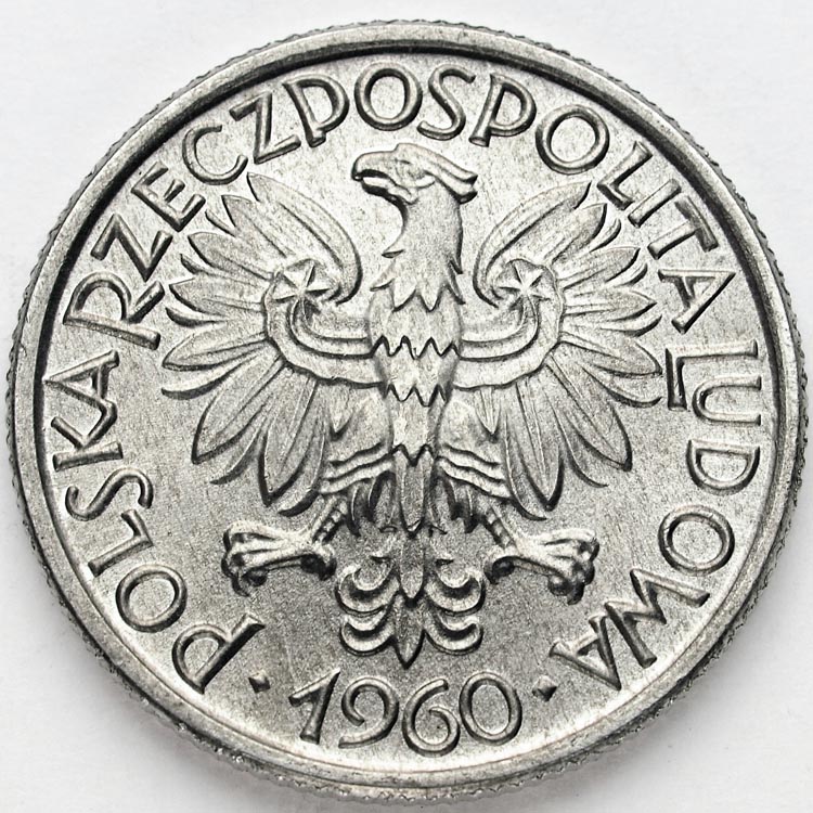 Zdjęcie 2
