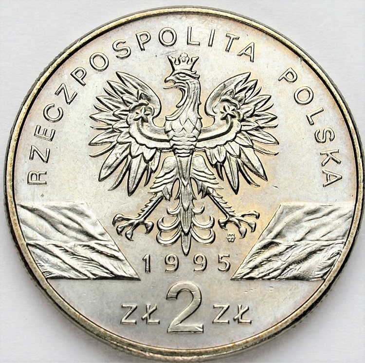 Zdjęcie 2