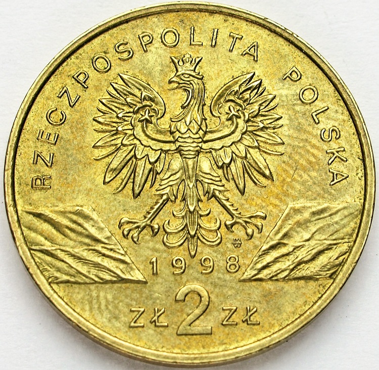 Zdjęcie 2