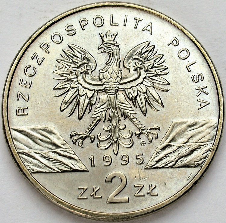 Zdjęcie 2