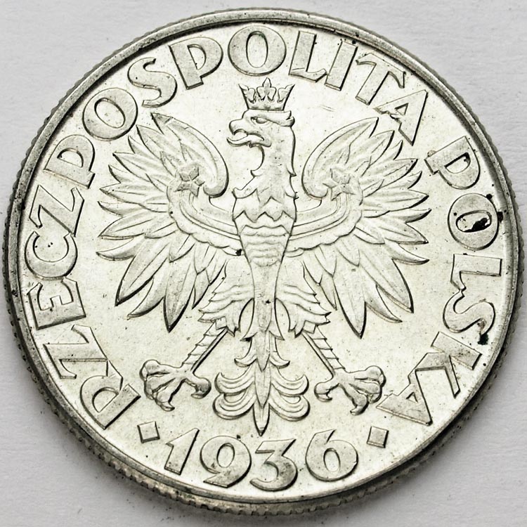 Zdjęcie 2