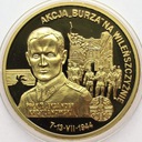 Akcja Burza na Wileńszczyźnie Polacy w II Wojnie