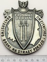 Medal Grunwald Berlin Braterstwo Broni