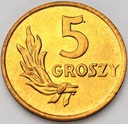 5 gr 1949 pięć groszy 1949, BRĄZ