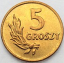 5 gr 1949 pięć groszy 1949, BRĄZ