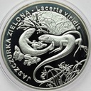 20 zł złotych 2009 Jaszczurka Zielona
