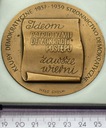 Medal 50 Lat Stronnictwa Demokratycznego (1)