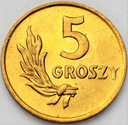 5 gr 1949 pięć groszy 1949, BRĄZ