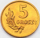 5 gr 1949 pięć groszy 1949, BRĄZ