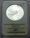 20 zł złotych 2015 Pszczoła miodna Zwierzęta PR70