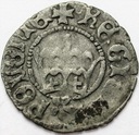 Jan Olbracht Półgrosz Koronny