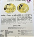 Polacy w II Wojnie Światowej Gułag