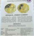 Polacy w II Wojnie Operacja Market Garden