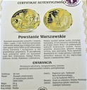 Polacy w II Wojnie Światowej Powstanie Warszawskie