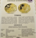 Enigma Polacy w II Wojnie Światowej