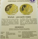 Wieluń Początek Wojny Polacy w II Wojnie Światowej