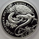 20 zł złotych 2009 Jaszczurka Zielona
